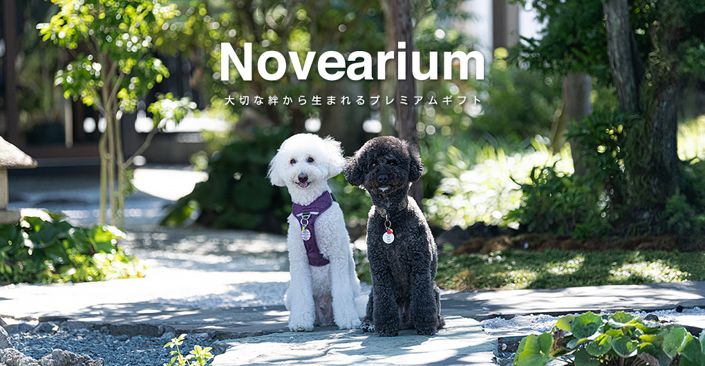 ノベリウム【Novearium】|大切な絆から生まれるプレミアムギフト