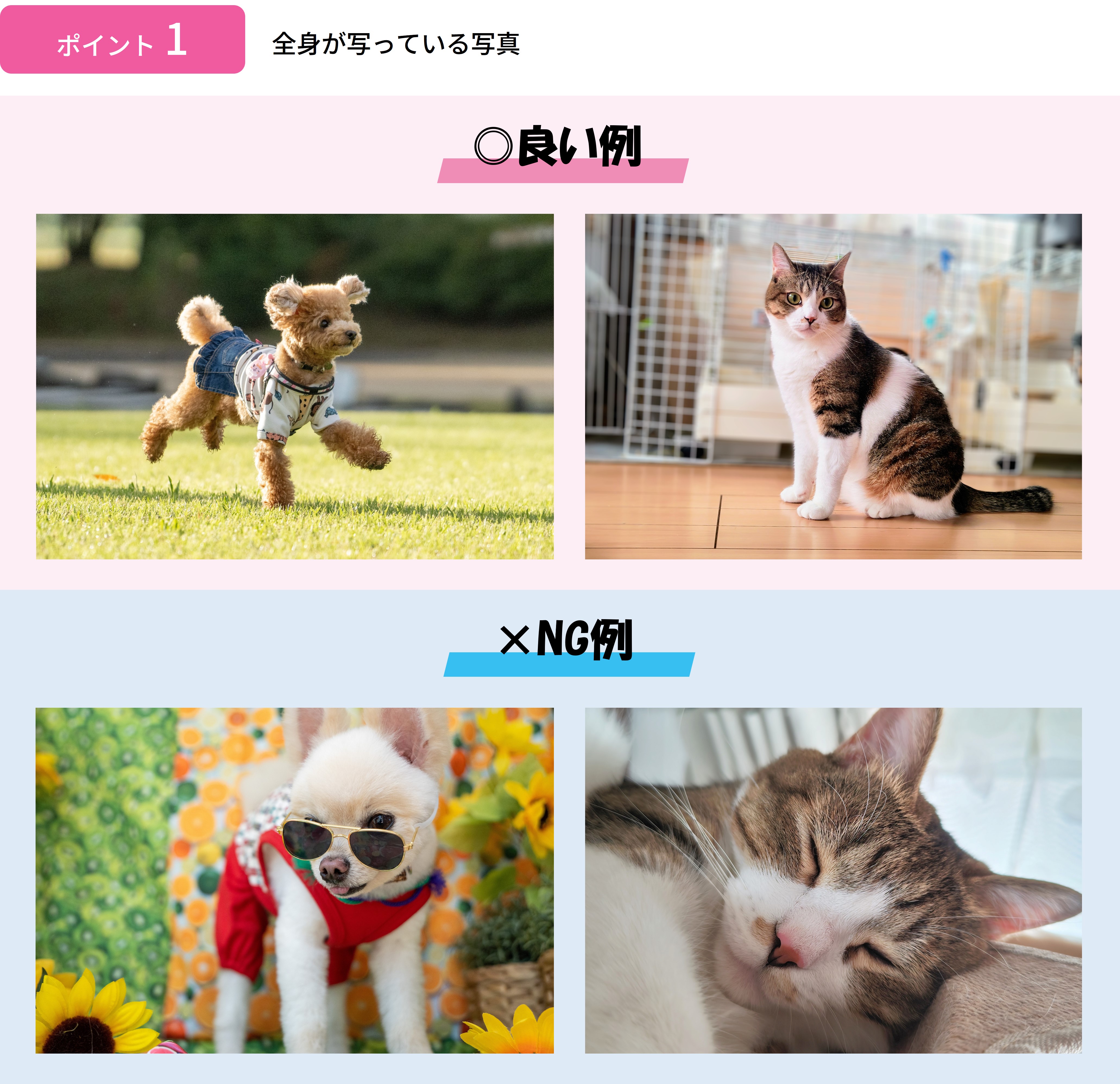 全身が写っている写真