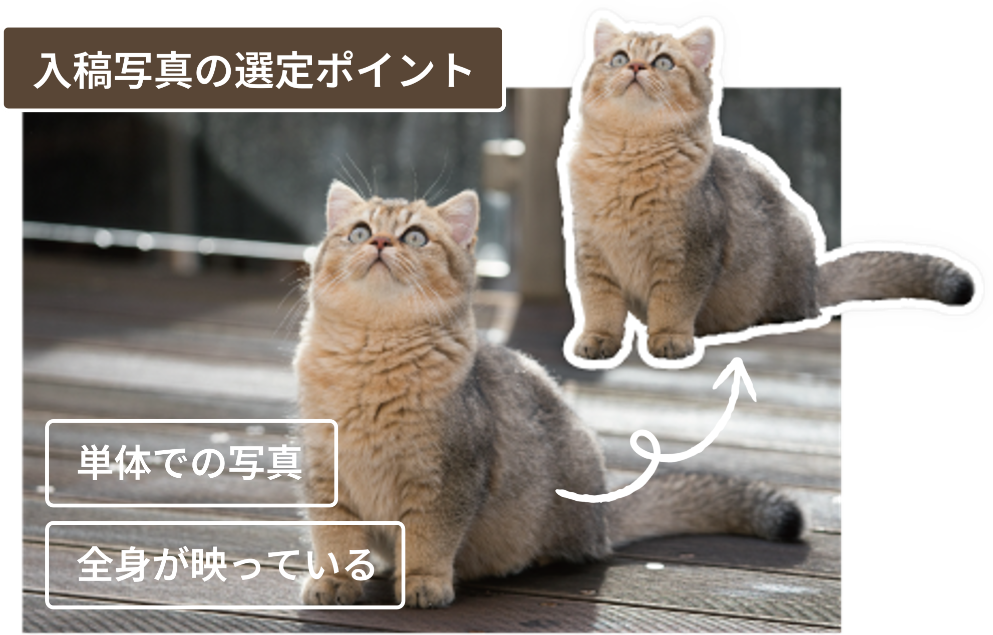 選ばれる理由_写真の選定ポイント2