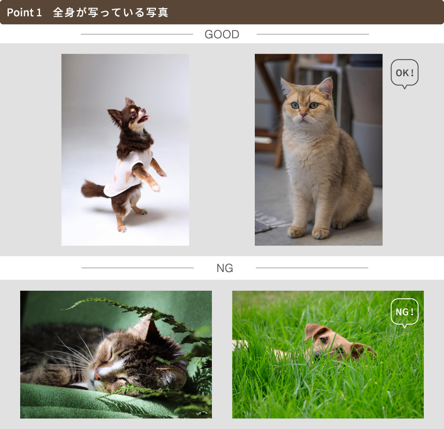 フリーページ入稿画像の注意点1