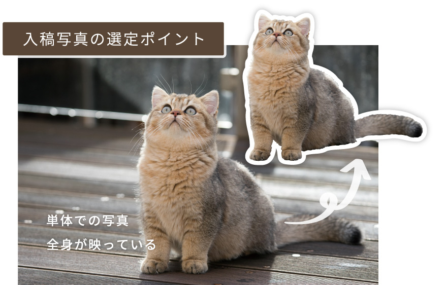 プロによる丁寧な切り抜き